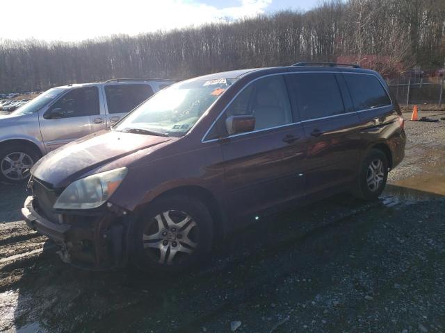 HONDA ODYSSEY EX 2007 with VIN 5FNRL38487B116629 - Photo from auction