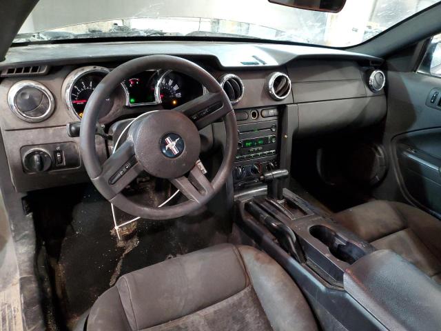 Photo 8 from auction – 2005 FORD MUSTANG with VIN 1ZVFT80N855116470