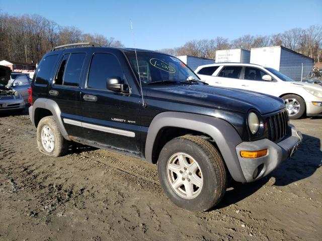 Photo 4 from auction – 2002 JEEP LIBERTY SP with VIN 1J4GL48K82W298861