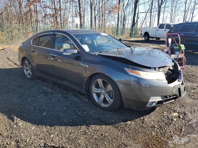 Photo 4 from auction – 2009 ACURA TL with VIN 19UUA96599A001386