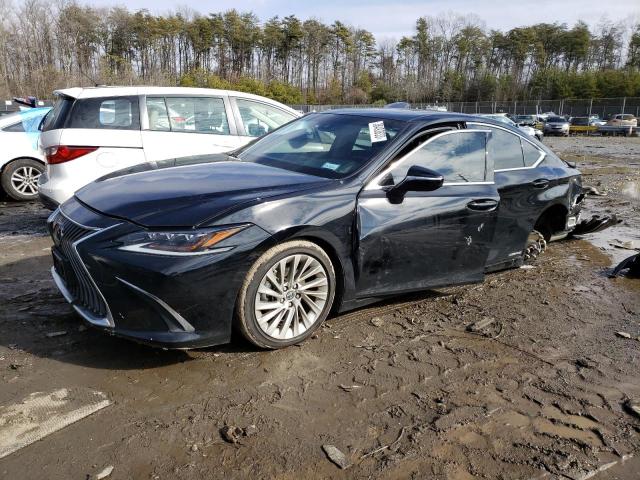 LEXUS ES 300H LU 2020 with VIN 58AE21B12LU004838 - Photo from auction