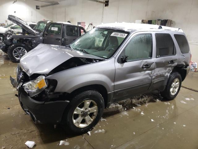 FORD ESCAPE XLT 2007 with VIN 1FMYU93187KA61381 - Photo from auction