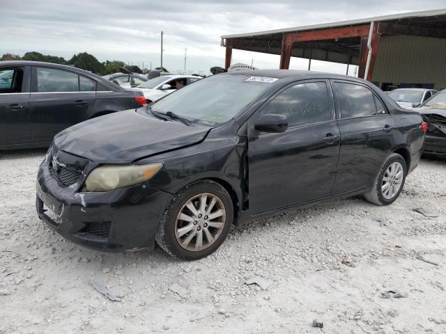 TOYOTA COROLLA BA 2009 with VIN JTDBL40E499034048 - Photo from auction