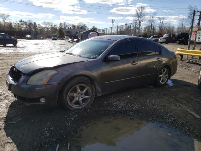 NISSAN MAXIMA SE 2006 with VIN 1N4BA41E86C800260 - Photo from auction