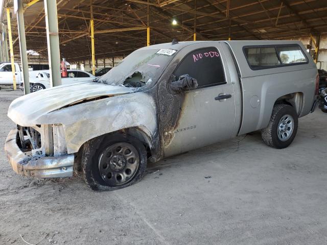 CHEVROLET SILVERADO 2009 with VIN 1GCEC14X59Z193538 - Photo from auction