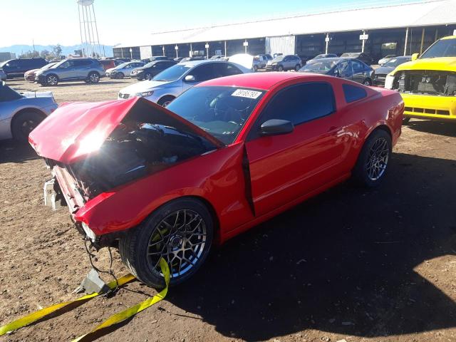 FORD MUSTANG 2014 with VIN 1ZVBP8AM4E5299570 - Photo from auction