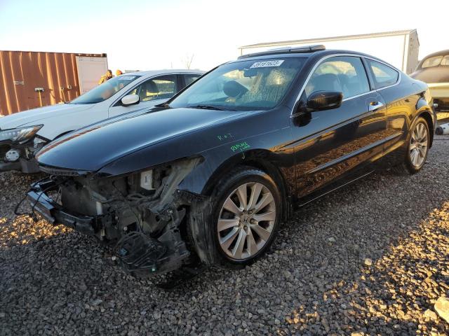 HONDA ACCORD EXL 2008 with VIN 1HGCS22858A016496 - Photo from auction
