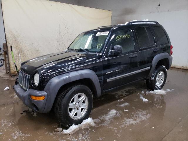 JEEP LIBERTY SP 2002 with VIN 1J4GL48K72W260781 - Photo from auction