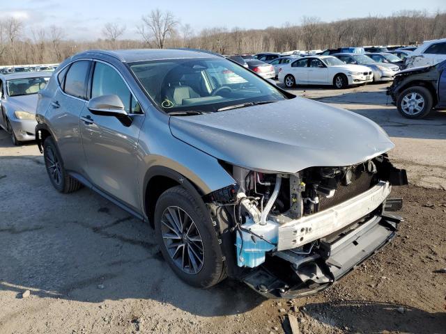 Photo 4 from auction – 2023 LEXUS NX 350 with VIN 2T2GGCEZ3PC017423
