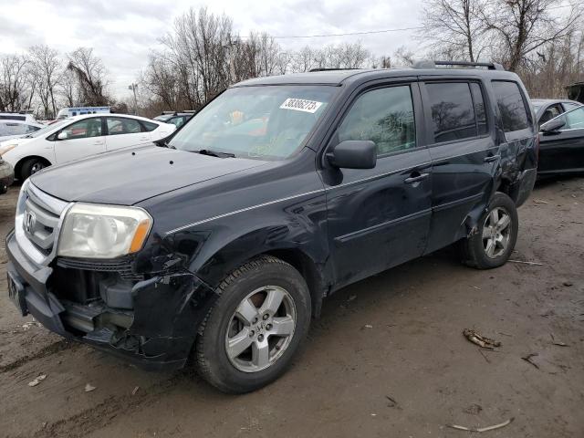 HONDA PILOT EXLN 2011 with VIN 5FNYF4H74BB017625 - Photo from auction