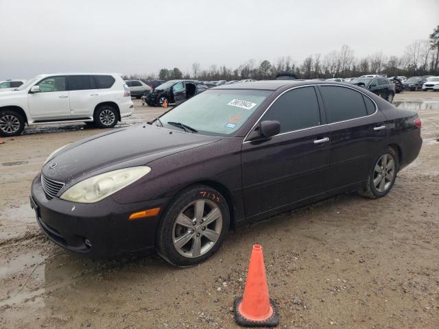 LEXUS ES 330 2005 with VIN JTHBA30G655138154 - Photo from auction