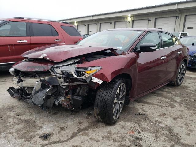 NISSAN MAXIMA 3.5 2016 with VIN 1N4AA6AP5GC446384 - Photo from auction