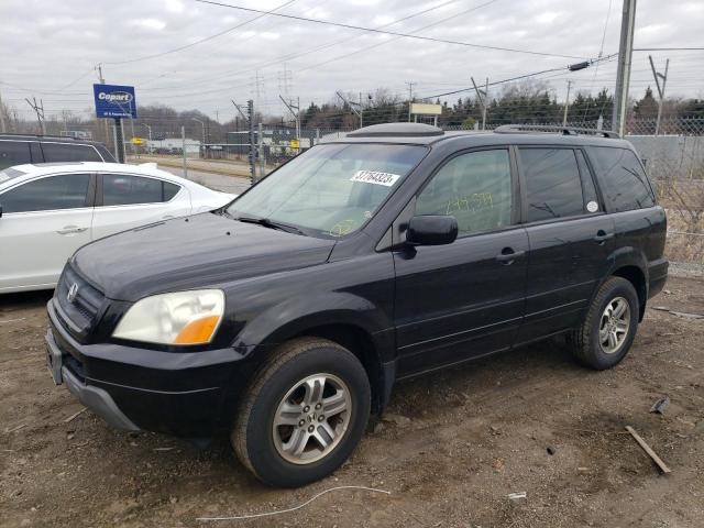 HONDA PILOT EXL 2005 with VIN 5FNYF18505B020264 - Photo from auction