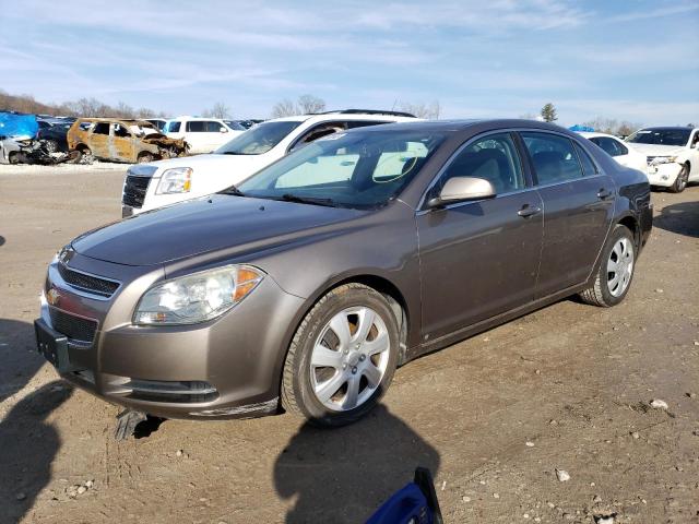 CHEVROLET MALIBU 1LT 2010 with VIN 1G1ZC5EB7AF123386 - Photo from auction