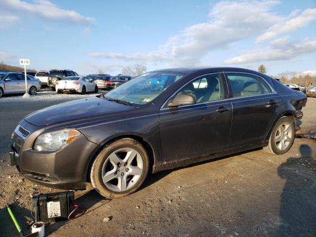 CHEVROLET MALIBU LS 2010 with VIN 1G1ZA5EB6A4110405 - Photo from auction