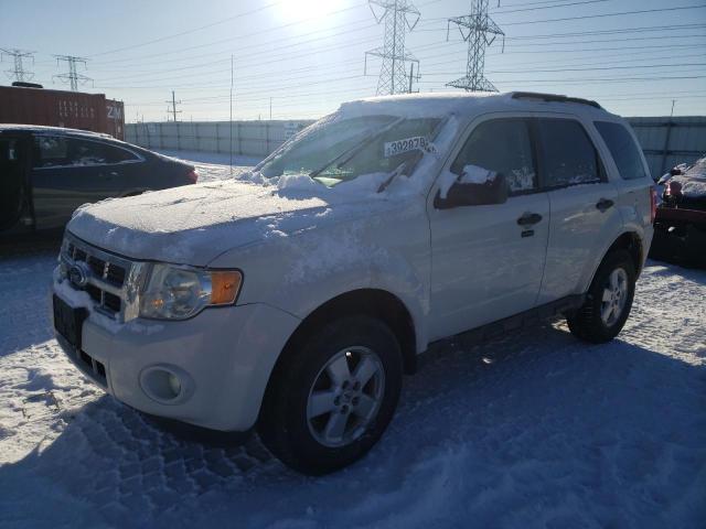 FORD ESCAPE XLT 2010 with VIN 1FMCU0D7XAKC78480 - Photo from auction