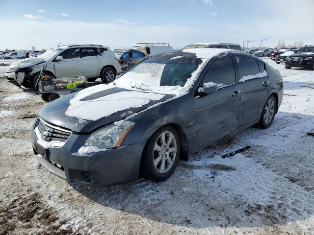 NISSAN MAXIMA SE 2008 with VIN 1N4BA41E08C826970 - Photo from auction