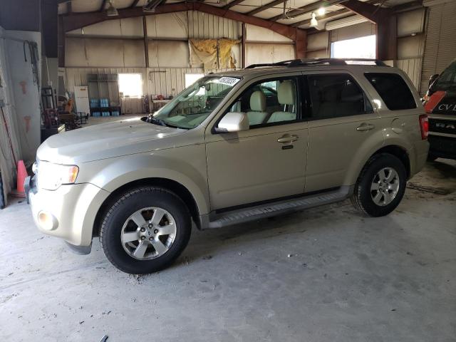 FORD ESCAPE LIM 2010 with VIN 1FMCU9EG1AKC28683 - Photo from auction
