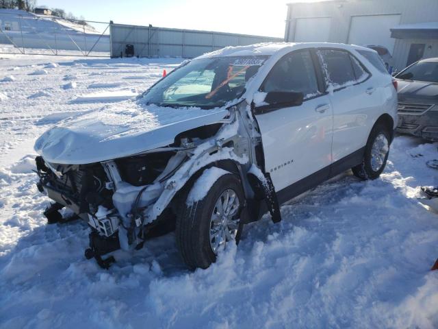 CHEVROLET EQUINOX LS 2019 with VIN 2GNAXSEV5K6136979 - Photo from auction