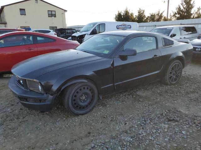 FORD MUSTANG 2007 with VIN 1ZVHT80N175239684 - Photo from auction
