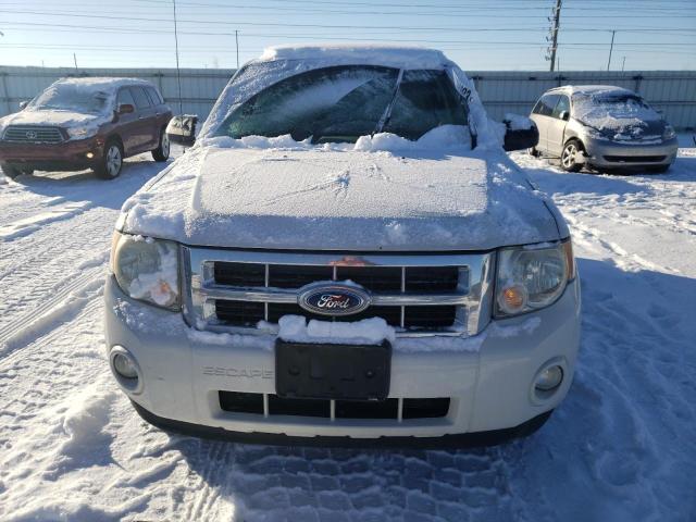Photo 5 from auction – 2010 FORD ESCAPE XLT with VIN 1FMCU0D7XAKC78480