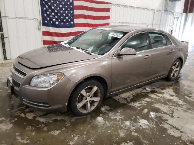 CHEVROLET MALIBU 1LT 2011 with VIN 1G1ZC5E17BF265326 - Photo from auction