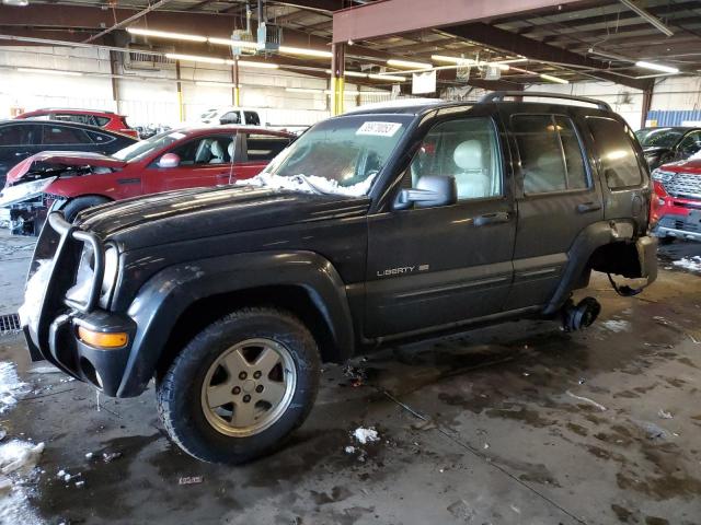 JEEP LIBERTY LI 2002 with VIN 1J8GL58K82W274337 - Photo from auction