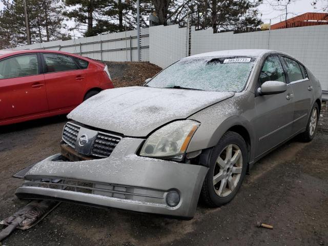 NISSAN MAXIMA SE 2004 with VIN 1N4BA41E54C878878 - Photo from auction