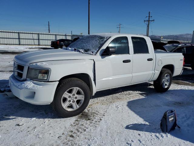 DODGE DAKOTA SLT 2011 with VIN 1D7RW3GKXBS650966 - Photo from auction