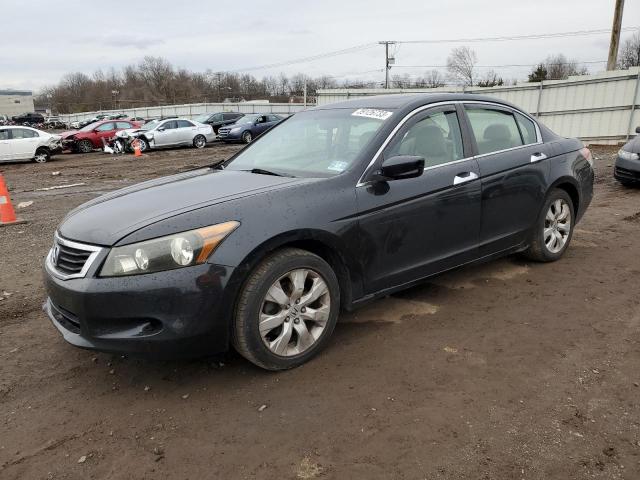 HONDA ACCORD EXL 2010 with VIN 1HGCP3F81AA031908 - Photo from auction