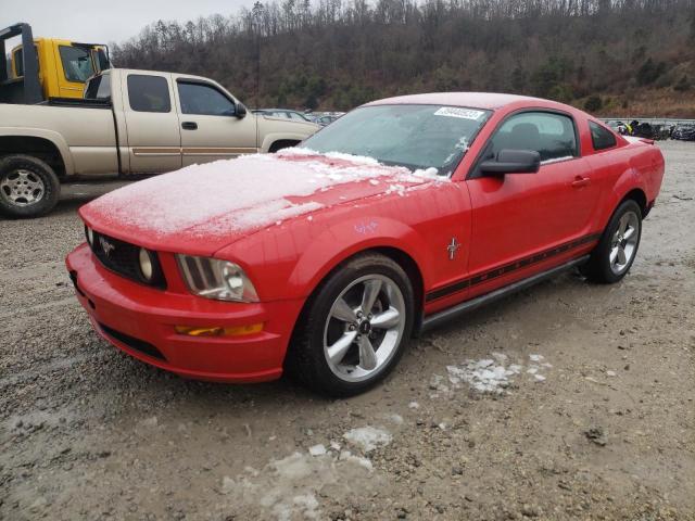 FORD MUSTANG 2007 with VIN 1ZVHT80NX75290035 - Photo from auction