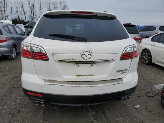 Photo 6 from auction – 2010 MAZDA CX-9 with VIN JM3TB3MV0A0202456