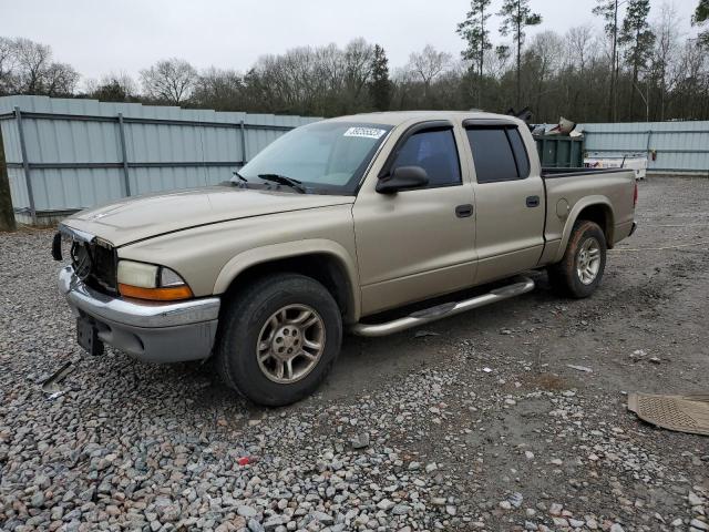 DODGE DAKOTA QUA 2004 with VIN 1D7HL48N44S670104 - Photo from auction