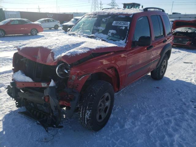 JEEP LIBERTY SP 2002 with VIN 1J4GL48K92W256201 - Photo from auction