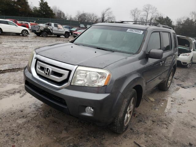HONDA PILOT EXL 2010 with VIN 5FNYF4H62AB021923 - Photo from auction