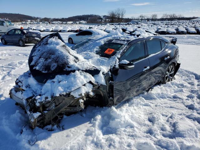 NISSAN MAXIMA 3.5 2017 with VIN 1N4AA6AP7HC402422 - Photo from auction