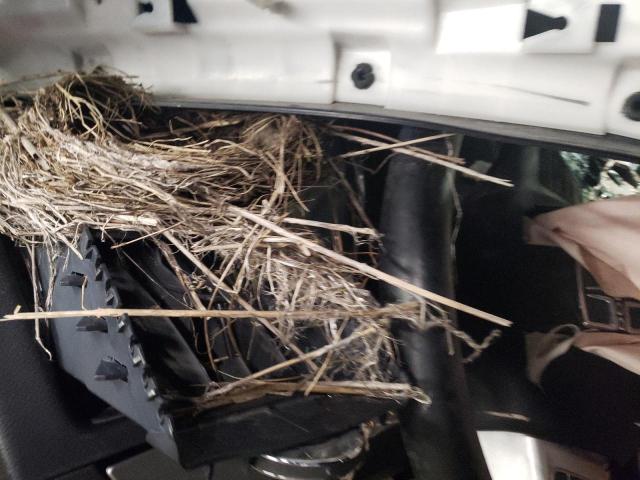Photo 9 from auction – 2019 DODGE GRAND CARA with VIN 2C4RDGEG3KR791420