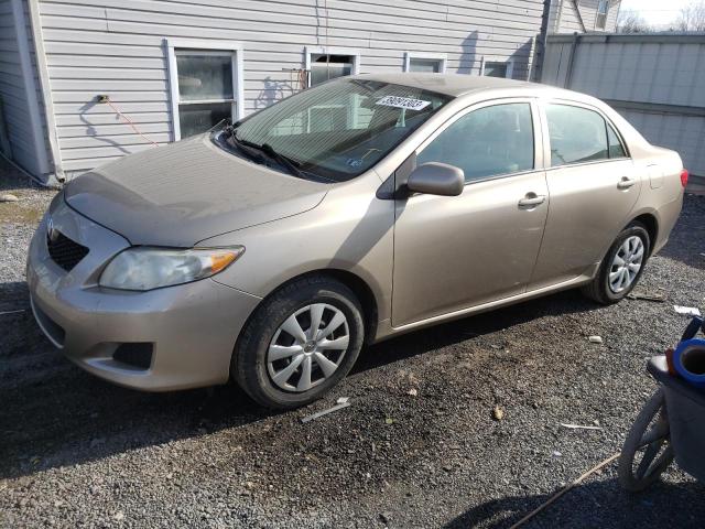 TOYOTA COROLLA BA 2010 with VIN 2T1BU4EE4AC252897 - Photo from auction