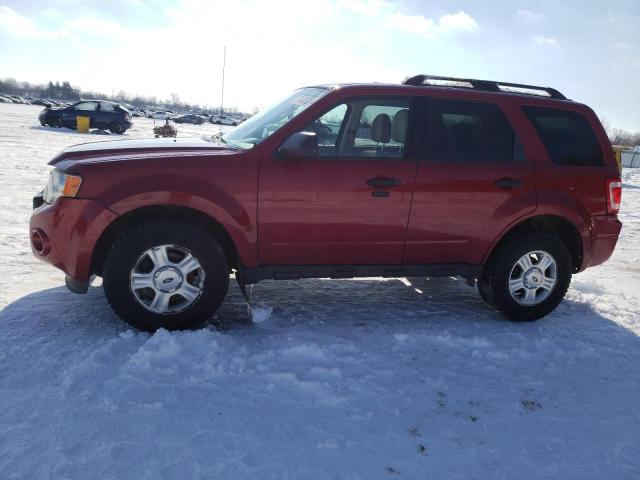 FORD ESCAPE XLT 2011 con VIN 1FMCU0D77BKA58070 - Foto de la subasta