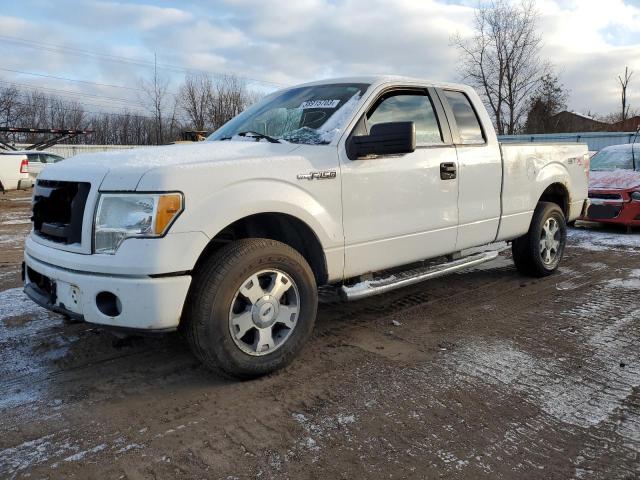 FORD F150 SUPER 2010 with VIN 1FTEX1EW2AFD31438 - Photo from auction