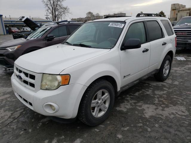 FORD ESCAPE HYB 2009 with VIN 1FMCU59399KA71030 - Photo from auction