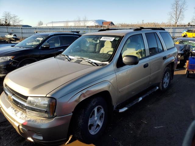 CHEVROLET TRAILBLAZE 2006 with VIN 1GNDT13S762173482 - Photo from auction