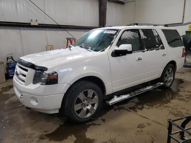 FORD EXPEDITION 2009 with VIN 1FMFU20509EA64816 - Photo from auction
