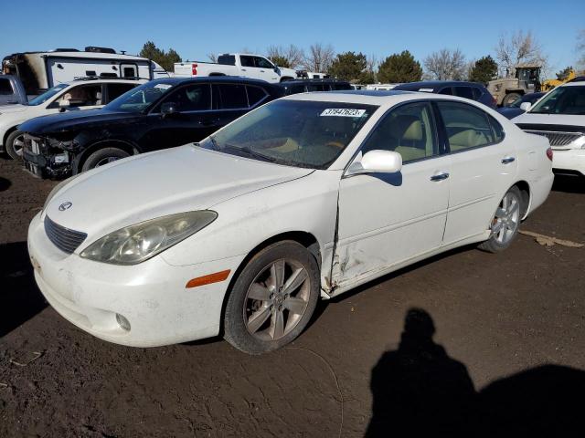 LEXUS ES 330 2005 with VIN JTHBA30G655129065 - Photo from auction
