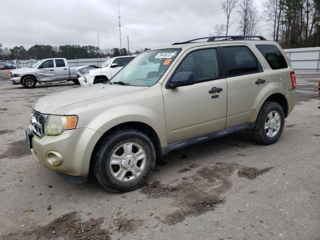 FORD ESCAPE XLT 2010 with VIN 1FMCU9DGXAKB80490 - Photo from auction