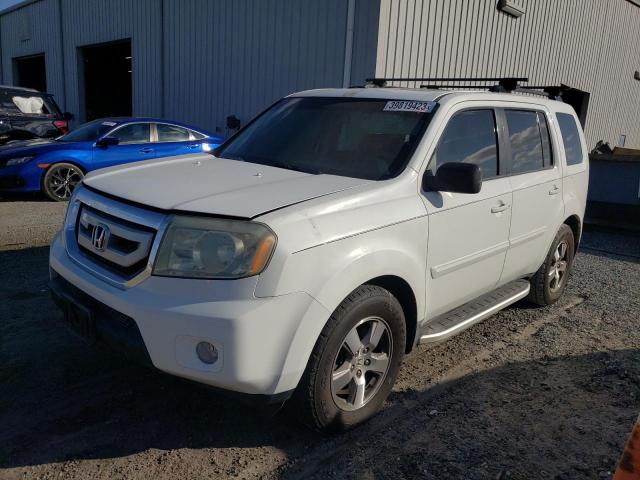 HONDA PILOT EXL 2009 with VIN 5FNYF38529B024804 - Photo from auction