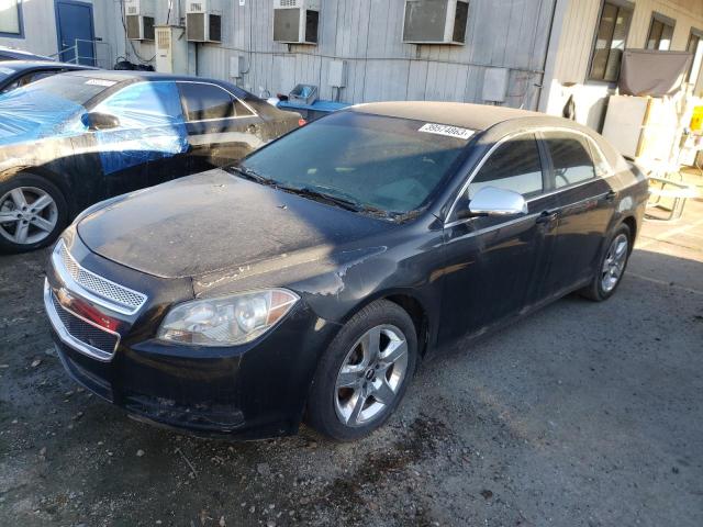 CHEVROLET MALIBU LS 2010 with VIN 1G1ZA5E02AF151164 - Photo from auction