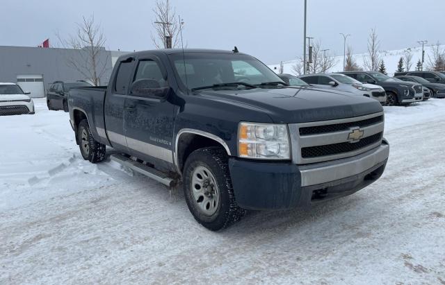 CHEVROLET SILVERADO 2008 with VIN 1GCEK19C28Z287447 - Photo from auction