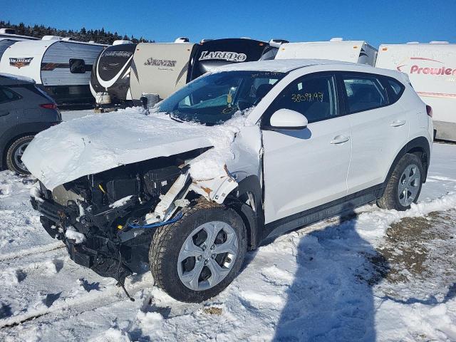 HYUNDAI TUCSON SE 2020 with VIN KM8J2CA47LU266853 - Photo from auction