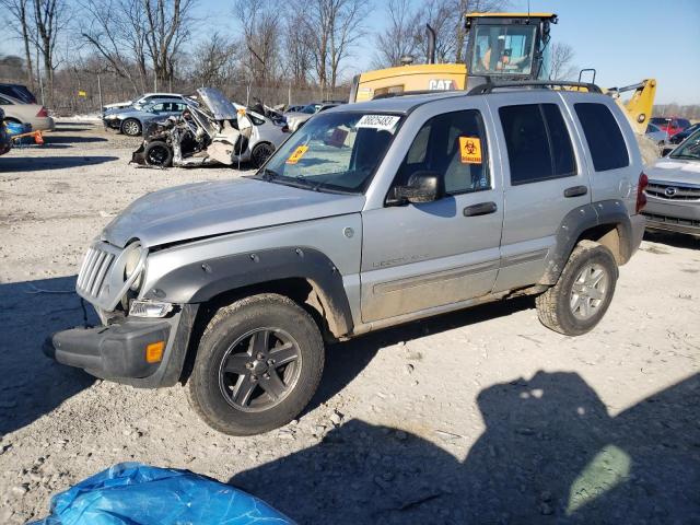 JEEP LIBERTY SP 2002 with VIN 1J4GL48K12W325169 - Photo from auction